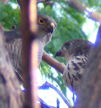 11-mom&daughter-31-Jan