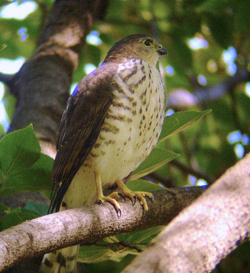 16-young-male-20-Feb