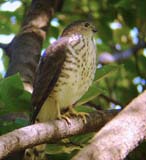 16-young-male-20-Feb