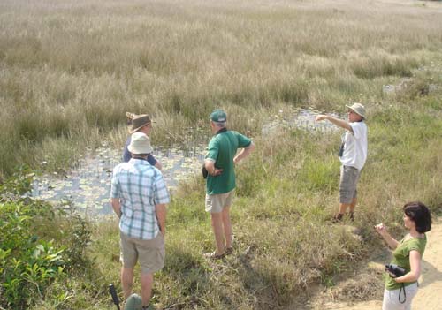 133-The-bittern-was-there