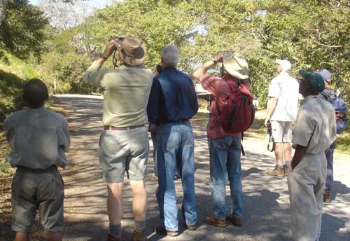 32-Birding-at-Leopard-Rock_hotel