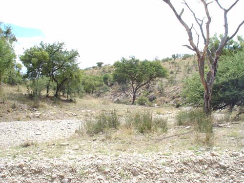 01.01-Daan-viljoen-valley