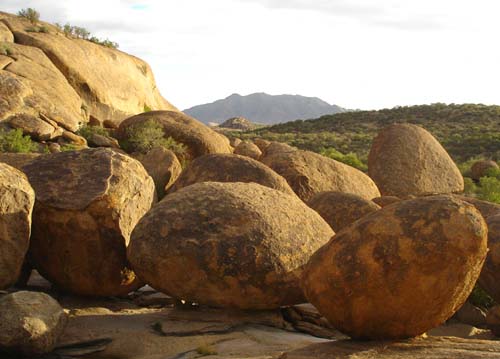 01.10-Bulls-party-rocks