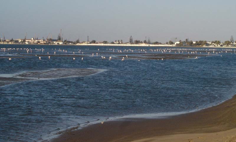 03.2-Walvis-Bay-Lagoon