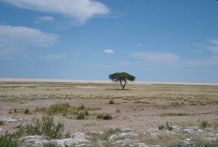 07.04-Etosha-big-sky