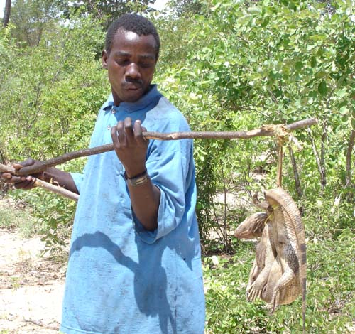 101-Monitor-for-lunch