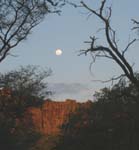 137-moonrise-at-Waterberg