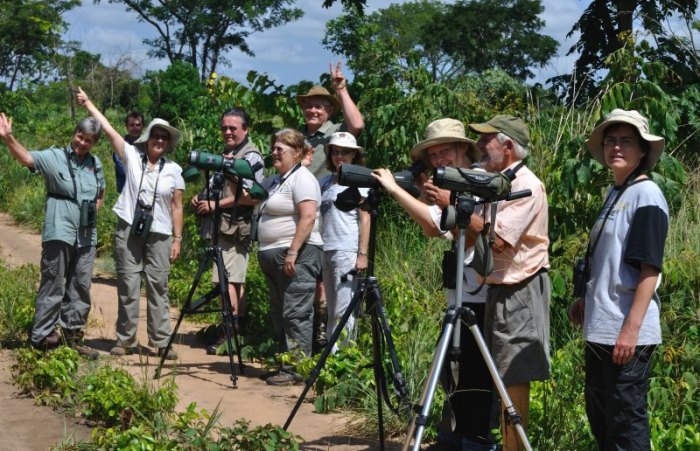 Looking at Twinspot Indigobird!!